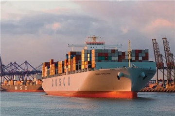 爆料！“一箱難求”將持續至明年上半年？供應鏈壓力加劇運費創新高！